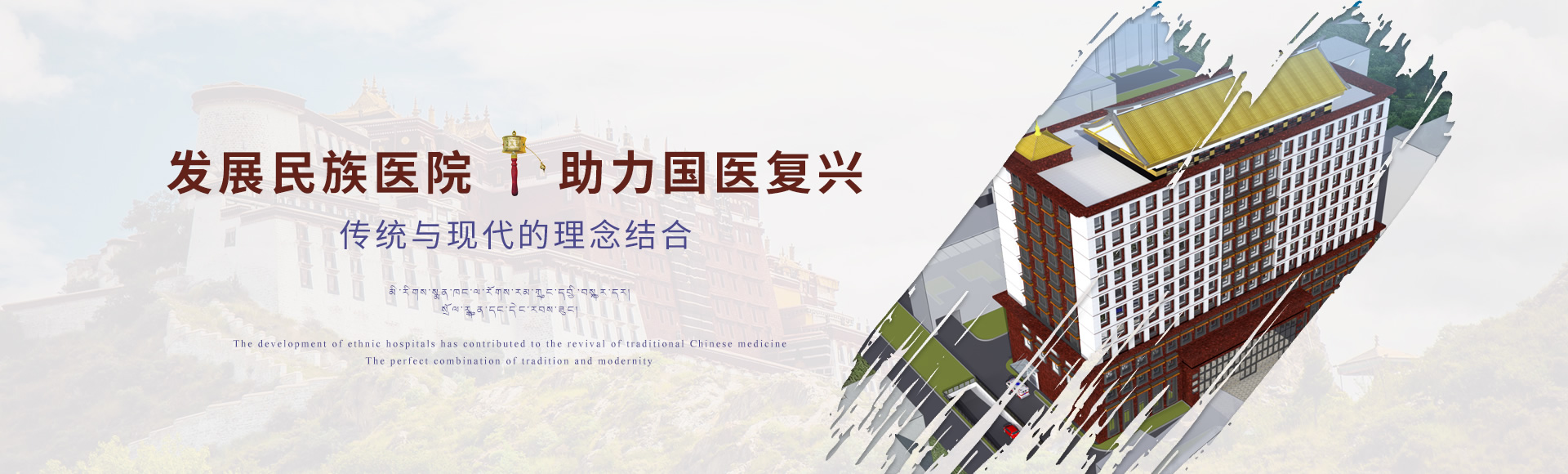 藏醫(yī)中醫(yī)院